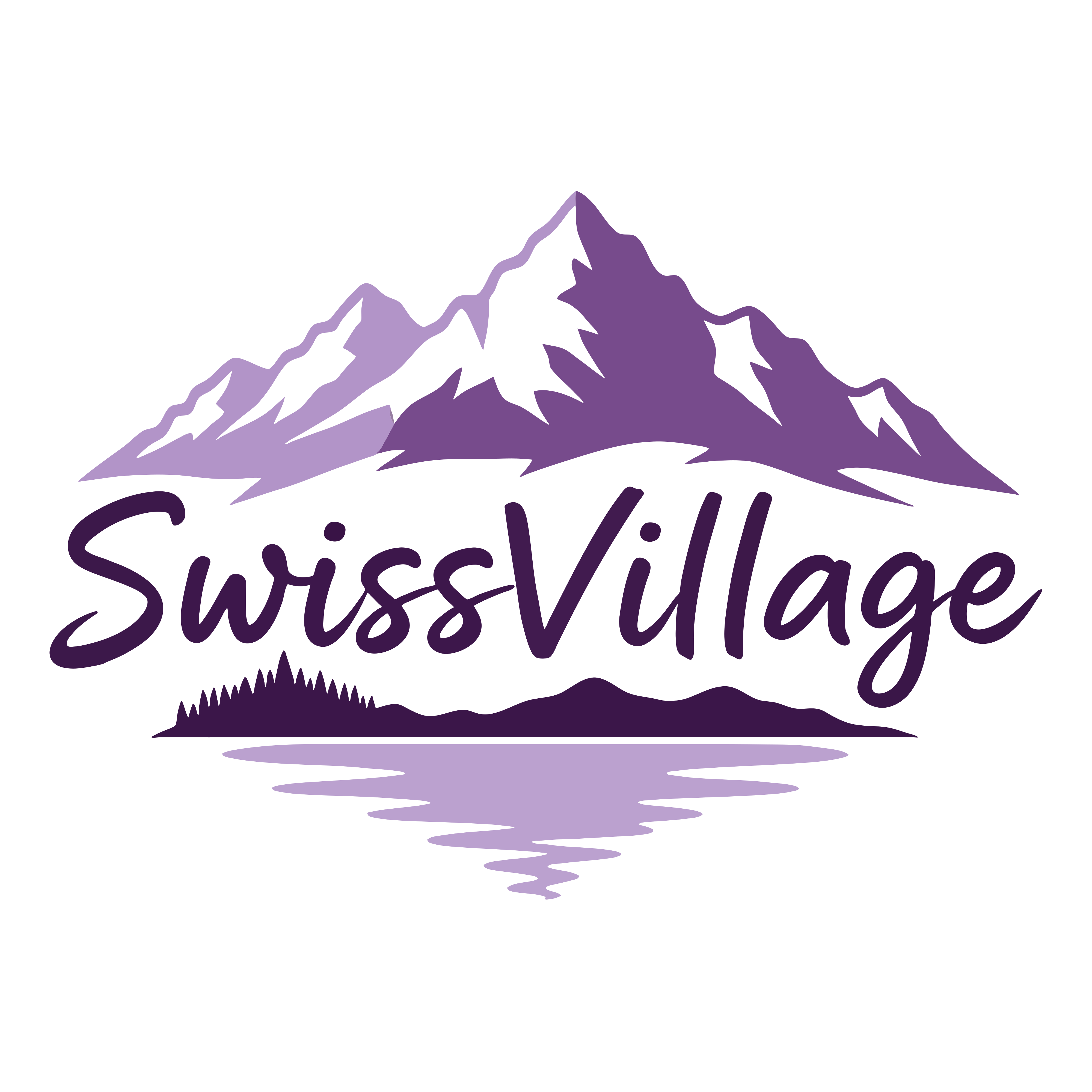 Admin of SwissVillage